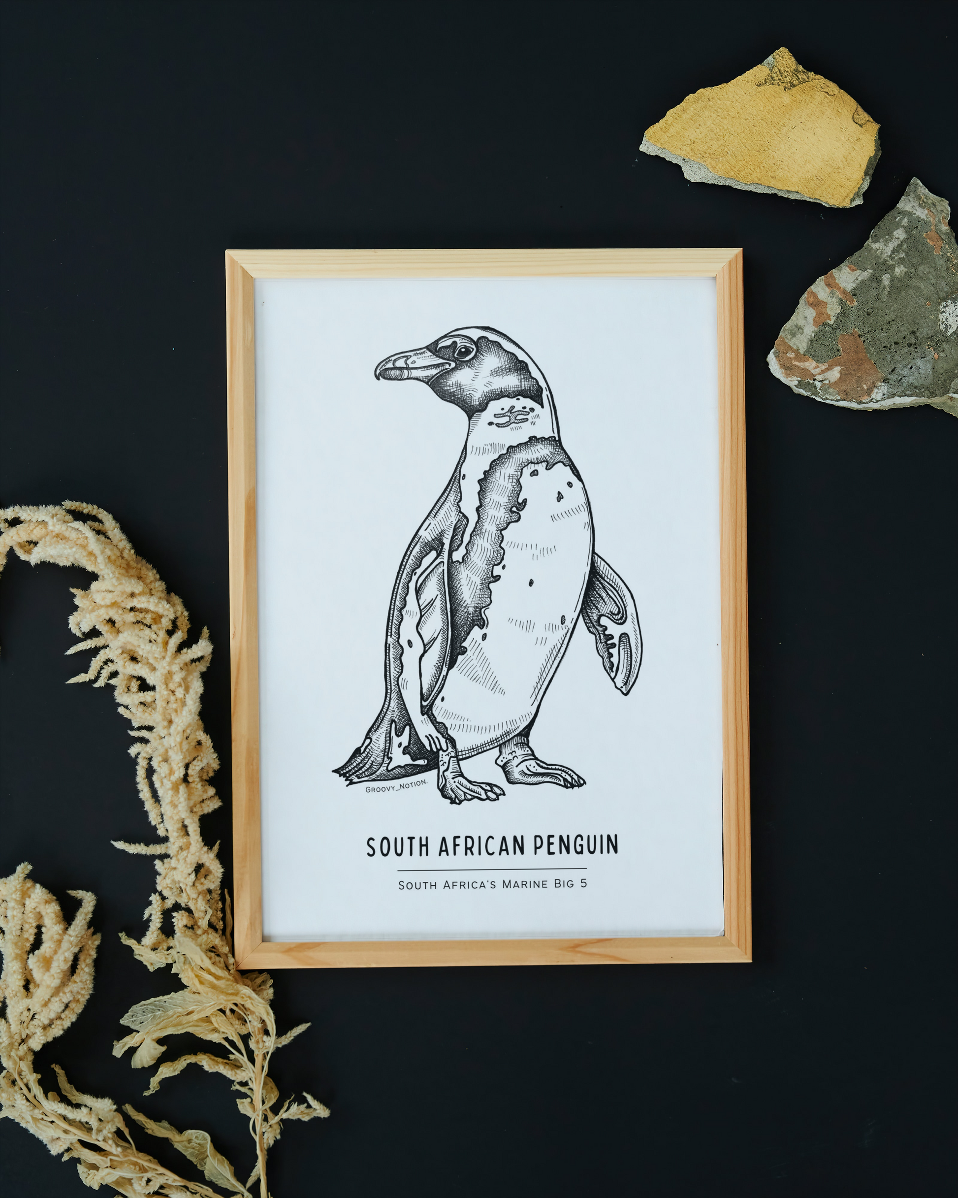 South Africa's Marine Big 5 Illustrations - SA Penguin. Groovy Notion Art