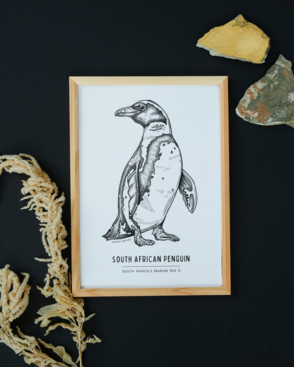 South Africa's Marine Big 5 Illustrations - SA Penguin. Groovy Notion Art