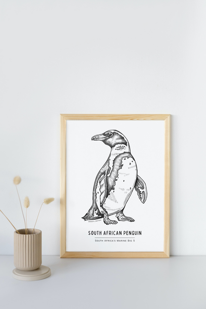 South Africa's Marine Big 5 Illustrations - SA Penguin. Groovy Notion Art