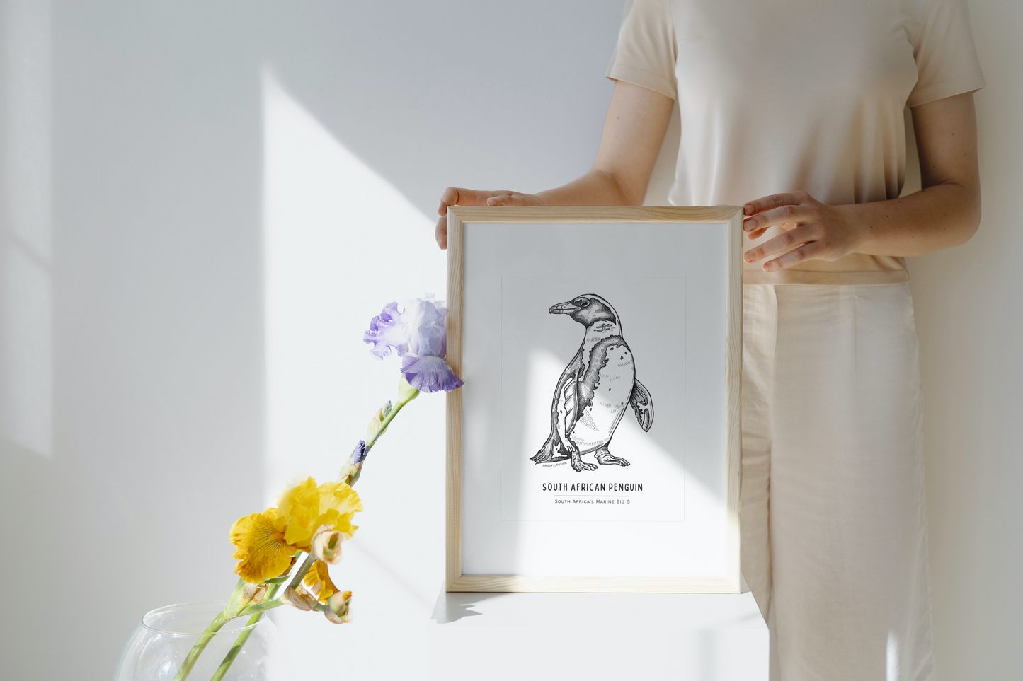 South Africa's Marine Big 5 Illustrations - SA Penguin. Groovy Notion Art