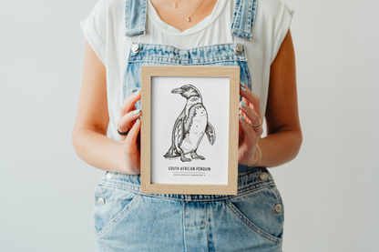 South Africa's Marine Big 5 Illustrations - SA Penguin. Groovy Notion Art