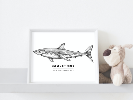 South Africa's Marine Big 5 Illustrations - Great White Shark. Groovy Notion Art